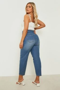 Plus Basics Jeans Mit Hohem Bund Und Rissen -Plus Jane Stil Geschaft gzz05371 stonewash xl 1