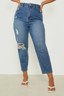 Plus Basics Jeans Mit Hohem Bund Und Rissen -Plus Jane Stil Geschaft gzz05371 stonewash xl 3